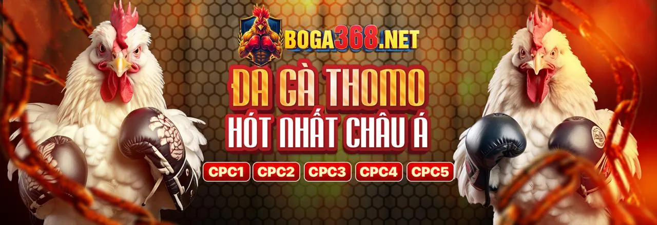 Hình ảnh đại diện cho cá cược thể thao tại Soi 888